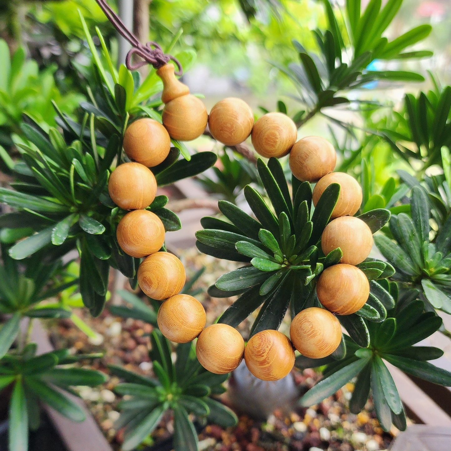 Natural Golden Wood Bead Bracelet | Handmade Wooden Prayer Beads Gelang Kayu Meditasi Boleh Laras Uniseks