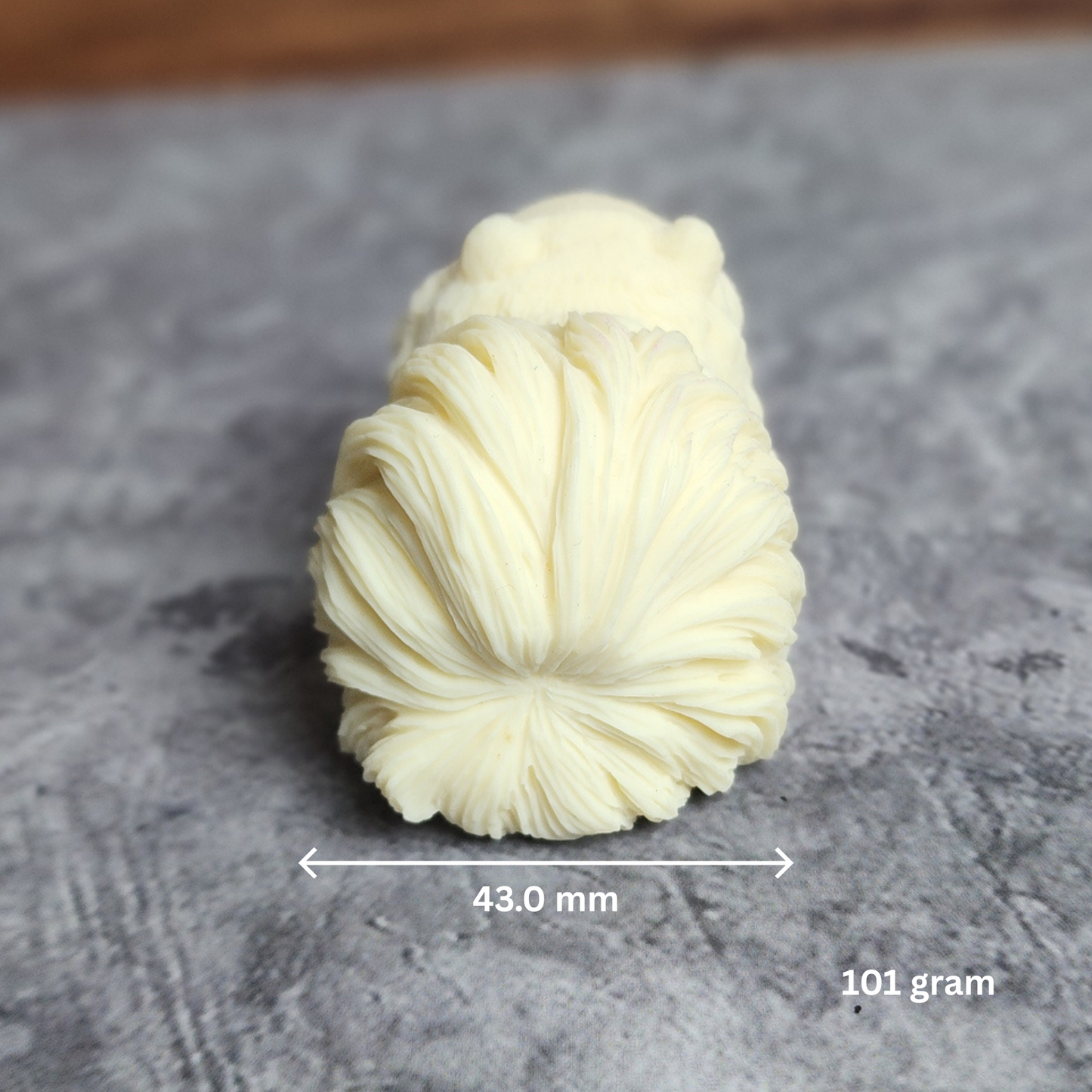 Ruxin's Radiance Collection-Natural Vegetable Ivory Palm Pomeranian Dog Figurine Cute Fluffy Decor | Patung Anjing Pomeranian Ivory Palm Semula Jadi