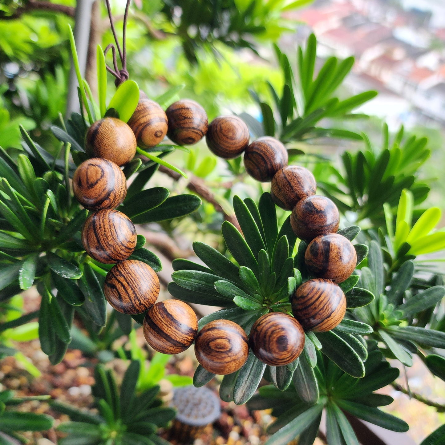 Natural Tiger Grain Sandalwood Bracelet | Tiger Stripe Wooden Beads | Gelang Kayu Corak Harimau Unisex